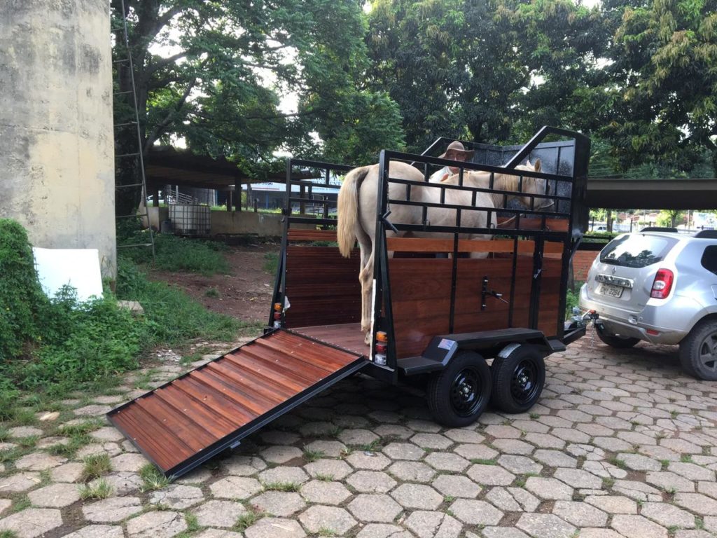 carreta transporte cavalos animais